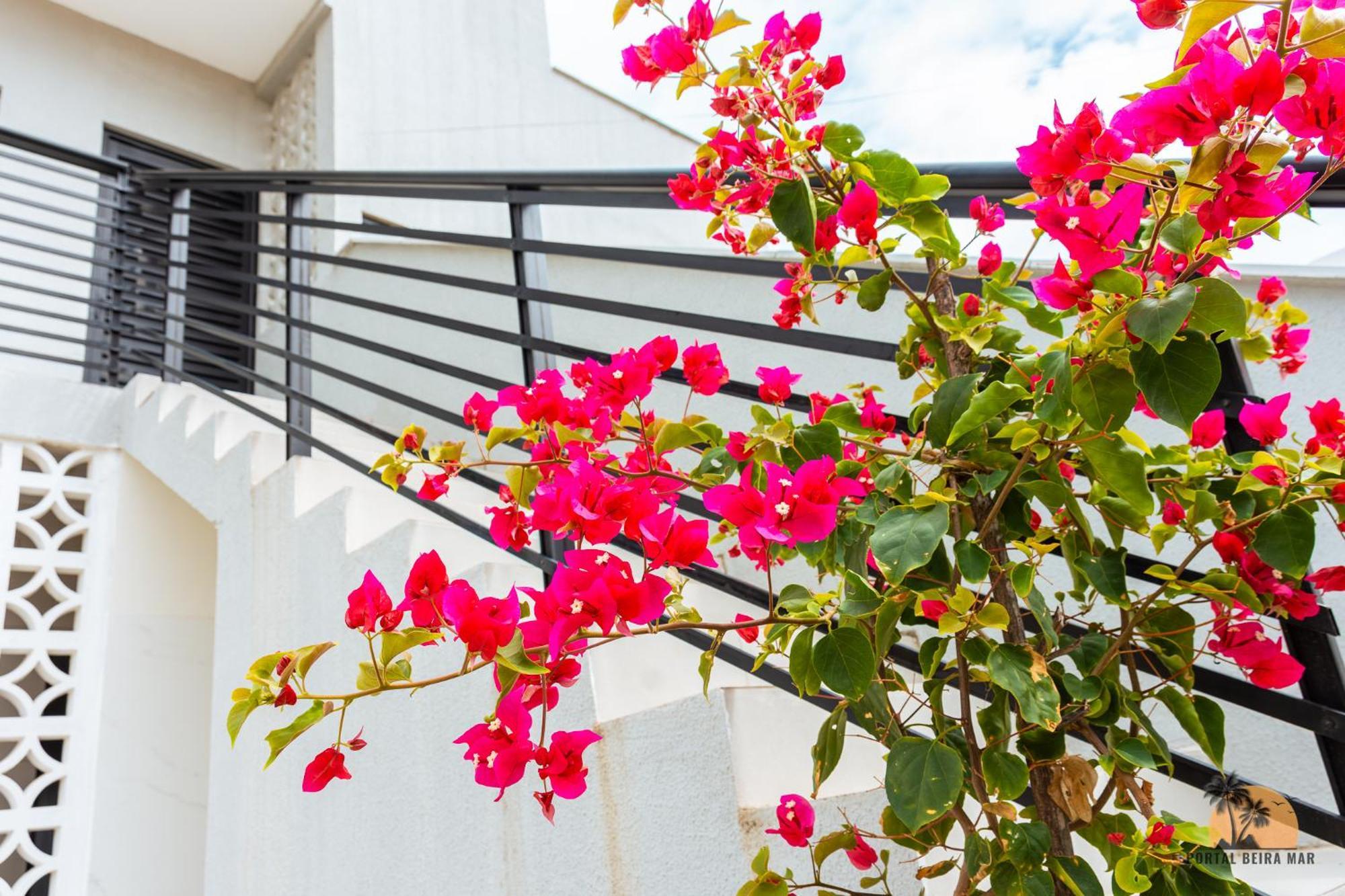 Portal Beira Mar Apartment Tamandare Ngoại thất bức ảnh
